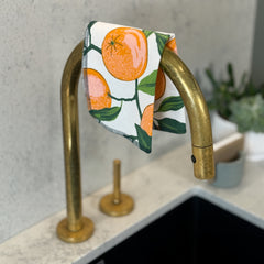 Valencia Oranges